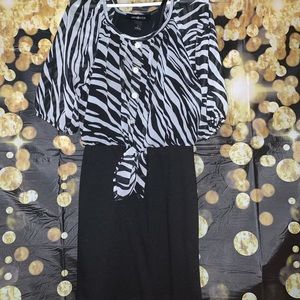 Amy Byee Zebra Dress